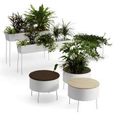 Kleiner Beistelltisch modern Set Beistelltische Pflanzen Beistelltische, offecct, Green Pedestals